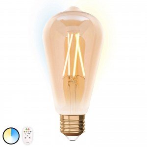 iDual LED lamp E27 ST64 9W met afstandsbediening