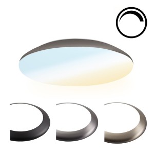 HOFTRONIC Dimbare LED Plafondlamp/Plafonniere 12W Lichtkleur instelbaar – 1300lm – IK10 – 25 cm – RVS – IP65