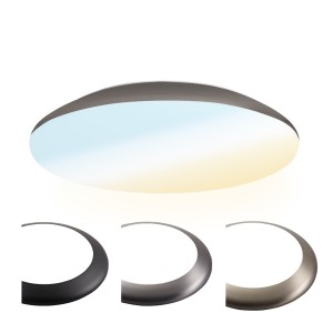 HOFTRONIC LED Bulkhead 30 cm – Plafondlamp – 18W 2100 Lumen – CCT lichtkleur instelbaar – IK10 – RVS – IP65 Waterdicht