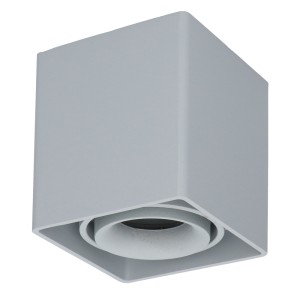 HOFTRONIC Dimbare LED opbouw plafondspot Esto GU10 Grijs IP20 kantelbaar excl. lichtbron