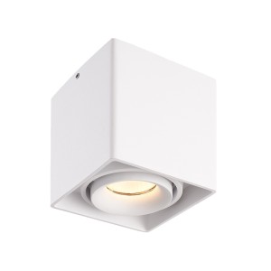 Hofronic Dimbare LED opbouw plafondspot Esto Wit incl. GU10 spot 5W 2700K IP20 kantelbaar