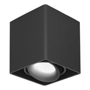 HOFTRONIC Dimbare LED Opbouwspot plafond Esto Zwart incl. GU10 spot 5W 4000K IP20 kantelbaar