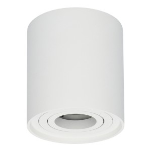 HOFTRONIC Dimbare LED Opbouwspot plafond Ray Wit IP20 kantelbaar excl. lichtbron