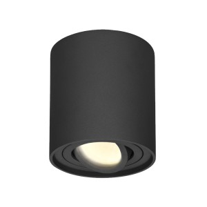 Hofronic Dimbare LED Opbouwspot plafond Ray Zwart incl. GU10 spot 5W 2700K IP20 kantelbaar Rond