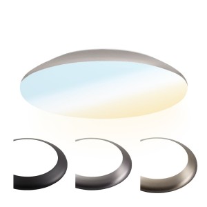HOFTRONIC LED Bulkhead 30 cm – Plafondlamp – 18W 2100 Lumen – CCT lichtkleur instelbaar – IK10 – Chroom – IP65 Waterdicht