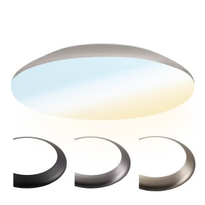 HOFTRONIC LED Bulkhead 38 cm – Plafondlamp – 25W 2600 Lumen – CCT lichtkleur instelbaar – IK10 – Chroom – IP65 Waterdicht