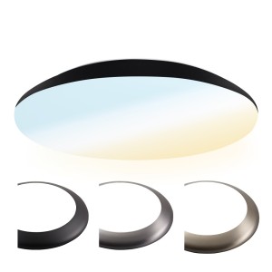 HOFTRONIC LED Bulkhead 38 cm – Plafondlamp – Wandarmatuur -25W 2600 Lumen – CCT lichtkleur instelbaar – IK10 – Zwart – IP65 Waterdicht