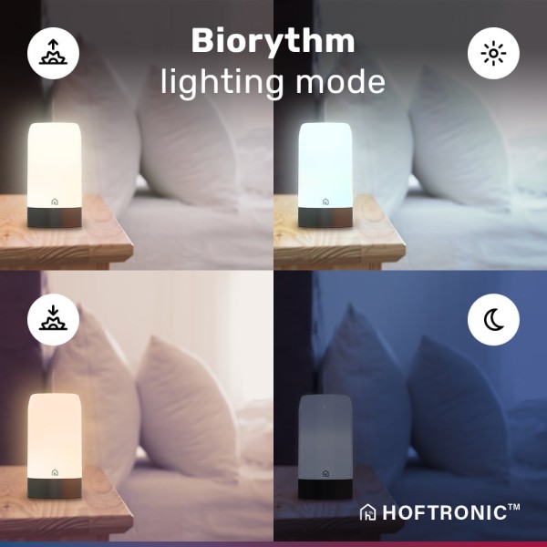 Hoftronic loki smart led tafellamp rgb wifi blueto 3