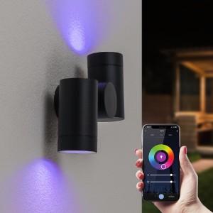 HOFTRONIC Silva smart wandlamp – wandspot – Kantelbaar – RGBWW – WiFi & Bluetooth – 2 spotlights – GU10 – Plafondspot – Modern – Google assistant & Amazon Alexa – IP65 – Zwart