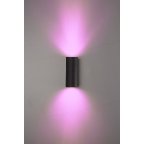 Hoftronic smart douglas smart wandlamp wandspot rg 1