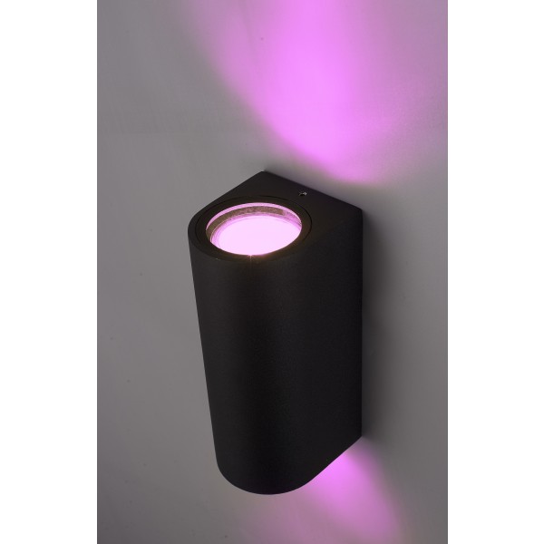 Hoftronic smart douglas smart wandlamp wandspot rg 2