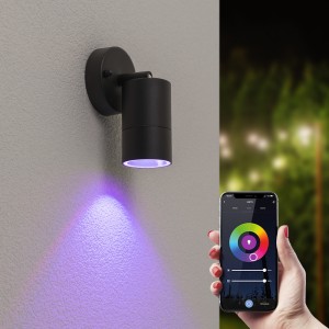 HOFTRONIC SMART Lago kantelbare wandlamp – Smart – IP44 – Incl. RGBWW GU10 spotje – WiFi & Bluetooth – Spotlight voor binnen en buiten – Geschikt als wandspot en plafondspot – Zwart