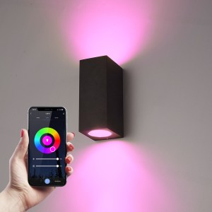 Hofronic Selma WiFi & Bluetooth dimbare LED wandlamp – Google Home en Amazon Alexa – Up & Down light – IP65 – Incl. 2x RGBWW GU10 spots – Zwart