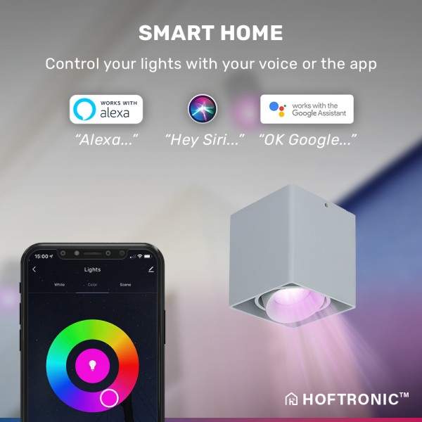 Hoftronic smart smart wifi led opbouw plafondspot 2