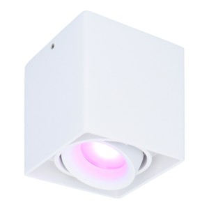 Hofronic Smart WiFi LED opbouw plafondspot Esto Wit incl. 5,5W GU10 RGBWW spot IP20 kantelbaar