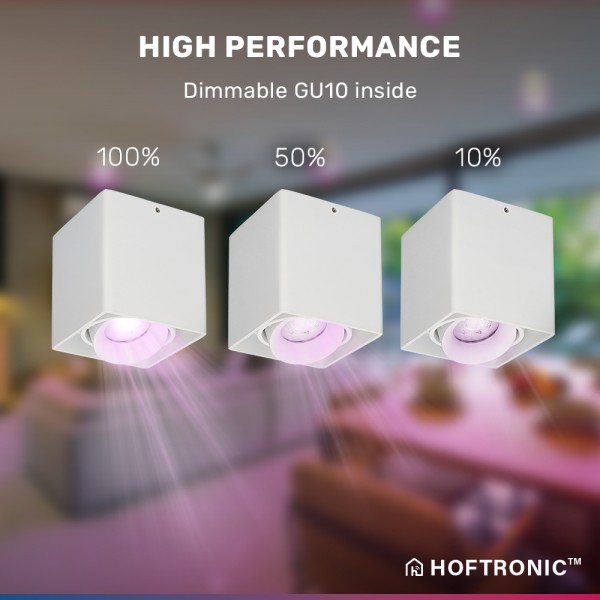 Hoftronic smart smart wifi led opbouw plafondspot 25