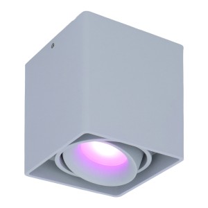 Hofronic Smart WiFi LED opbouw plafondspot Esto Grijs incl. 5,5W GU10 RGBWW spot IP20 kantelbaar