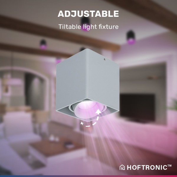 Hoftronic smart smart wifi led opbouw plafondspot 5