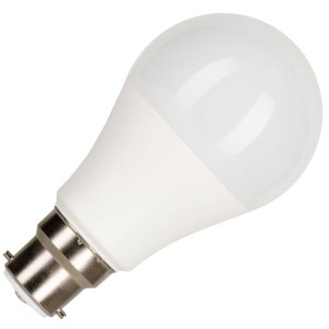 Bailey | LED Lamp | B22d  | 10W
