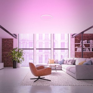 Briloner LED plafondlamp B smart RGBW dimbaar wit Ø 42 cm