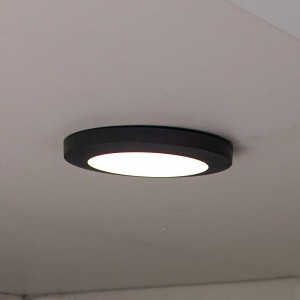 LUTEC LED buiten plafondlamp Kayah, IP54