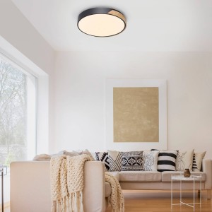 Q-Smart-Home Paul Neuhaus Q-BILA LED plafondlamp, zwart/eiken