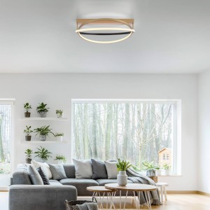 Q-Smart-Home Paul Neuhaus Q-Beluga LED plafondlamp, messing