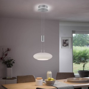 Q-Smart-Home Paul Neuhaus Q-ETIENNE LED hanglamp, 1-lamp