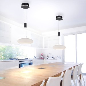 Q-Smart-Home Paul Neuhaus Q-ETIENNE LED hanglamp 1-lamp, zwart