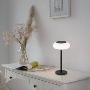 Q-Smart-Home Paul Neuhaus Q-ETIENNE LED tafellamp, zwart