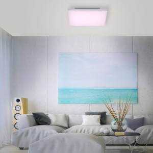Q-Smart-Home Paul Neuhaus Q-FRAMELESS plafondlamp RGBW 45x45cm