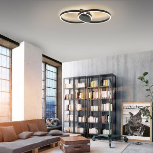 Q-Smart-Home Paul Neuhaus Q-MARKO LED plafondlamp, 2-lamps rond