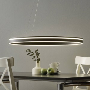 Q-Smart-Home Paul Neuhaus Q-VITO LED hanglamp 79cm antraciet