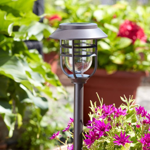 Smart garden led solar-grondspies lamp avant in 5 per set