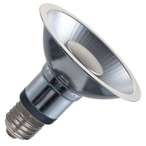SPL | LED Spot | Grote fitting E27  | 12W Dimbaar