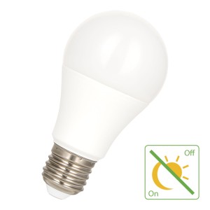 Bailey | LED Lamp | Grote fitting E27  | 9W