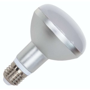 Bailey | LED Reflectorlamp | Grote fitting E27  | 9W Dimbaar