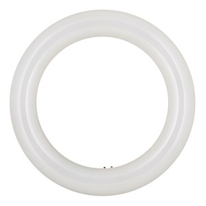 Bailey | LED Ronde TL | G10q  | 11W