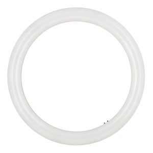 Bailey | LED Ronde TL | G10q  | 16W