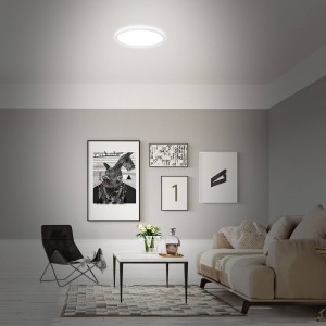 Briloner LED plafondlamp B smart RGBW dimbaar wit Ø 42 cm