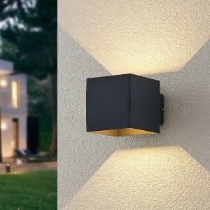 ELC Esani LED buiten wandlamp, antraciet