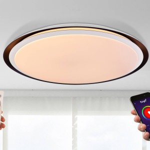 Globo LED plafondlamp Xaver Smart Home dimbaar CCT