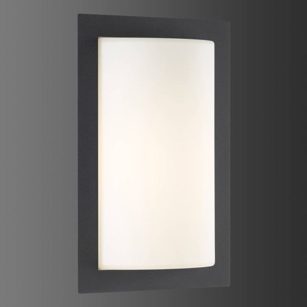 Lcd grafietkleurige buitenwandlamp luis met led verlichting