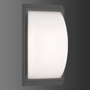 LCD LED buitenwandlamp 053 van roestvrijstaal, grafiet