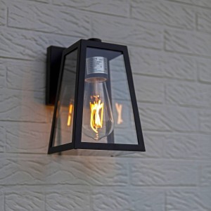 LUTEC Buitenwandlamp Fia in matzwart met helder glas