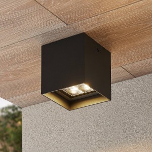 Lindby Eveta LED plafondlamp voor buiten