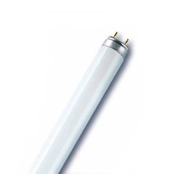 OSRAM G13 T8-tl-lamp Floura van 30W