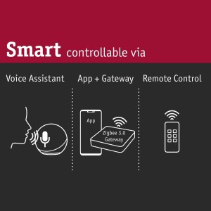 Paulmann Cephei schakel-controller, ZigBee 3.0