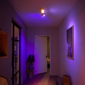 Philips Hue Centris LED-spot 2-lamps, wit