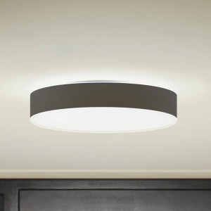 Philips Hue Enrave LED plafondlamp 38,1cm zwart